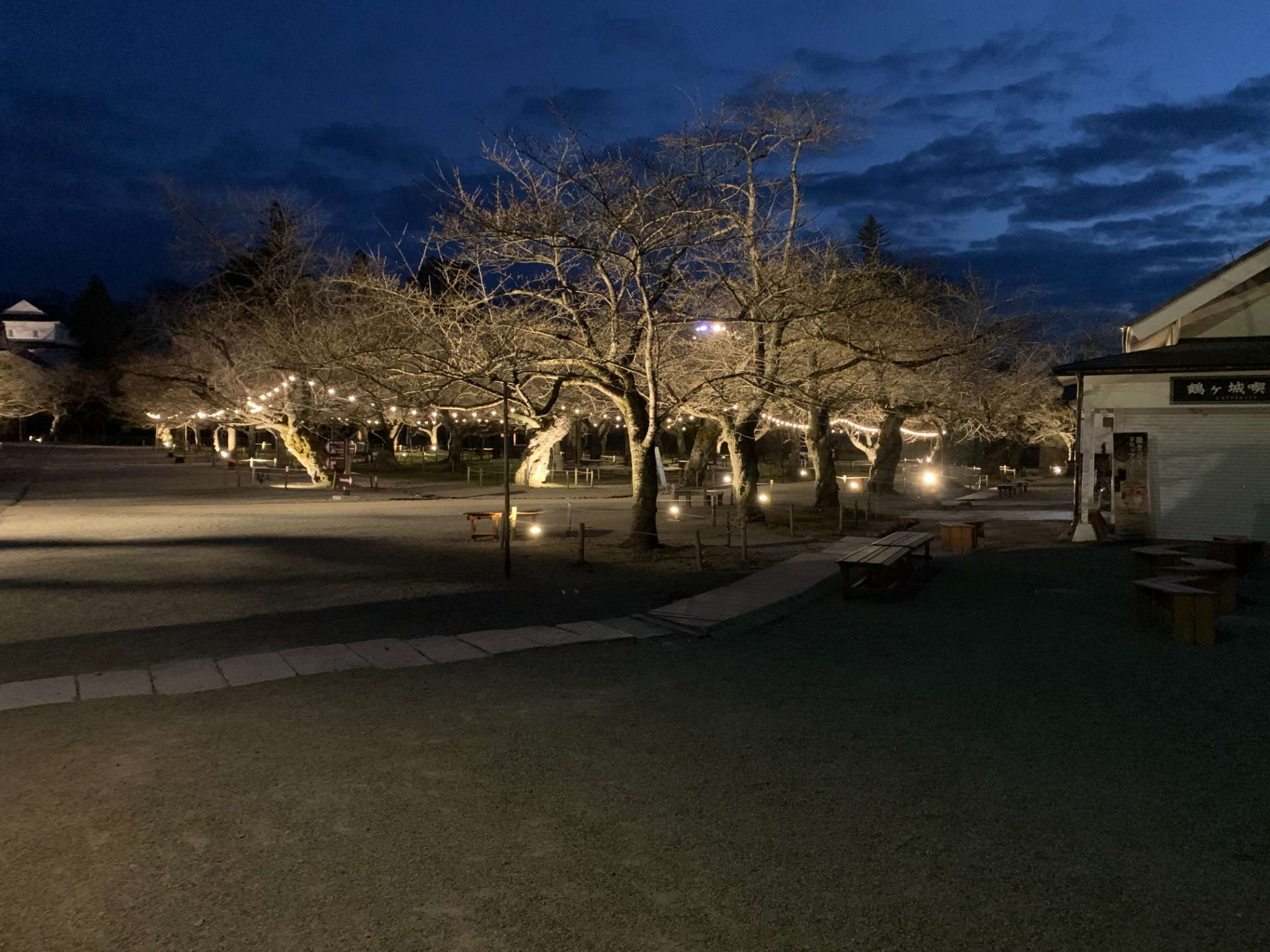鶴ヶ城（若松城）桜・公園のライトアップ・点灯試験