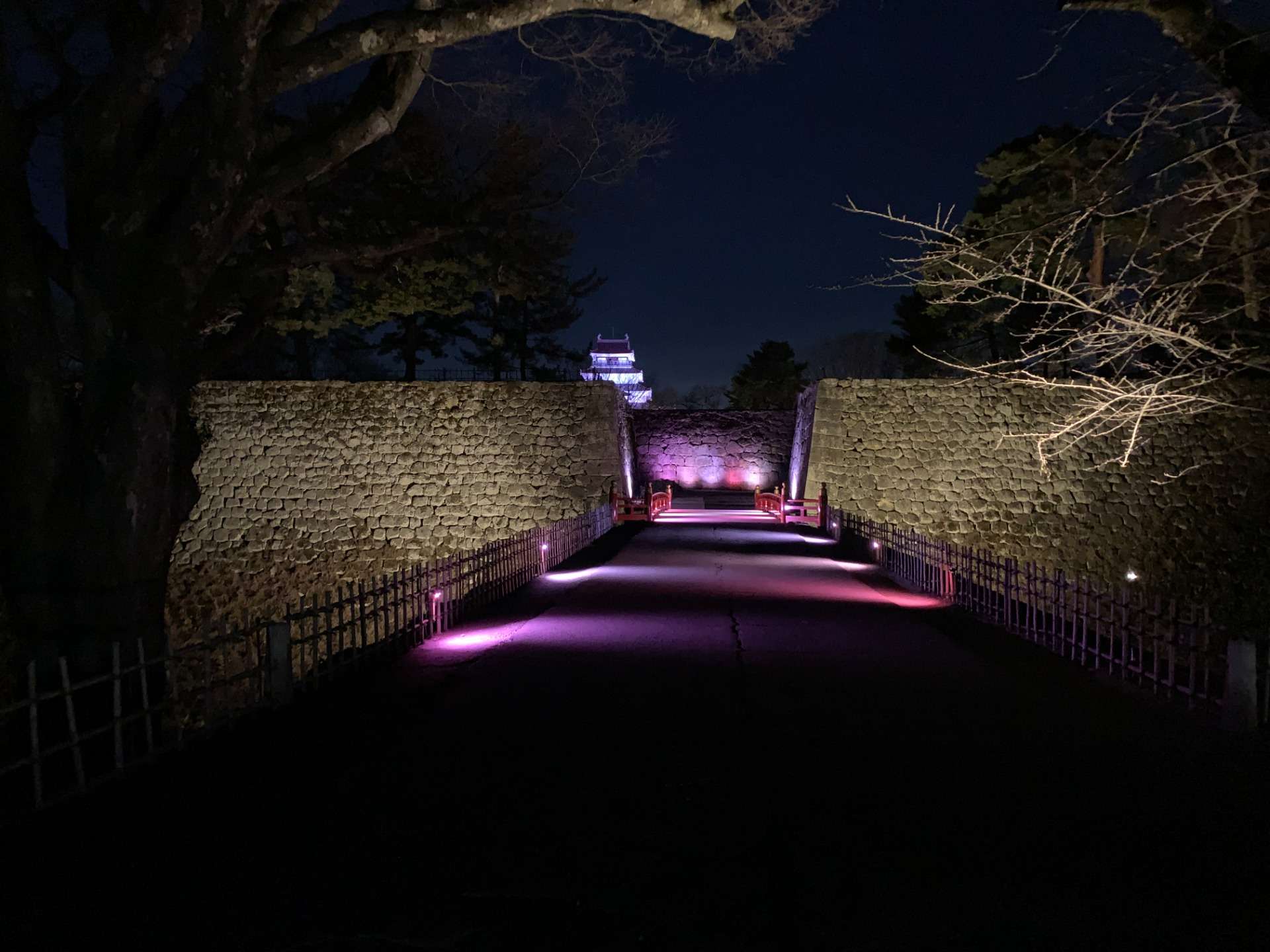 鶴ヶ城（若松城）桜・公園のライトアップ・点灯試験