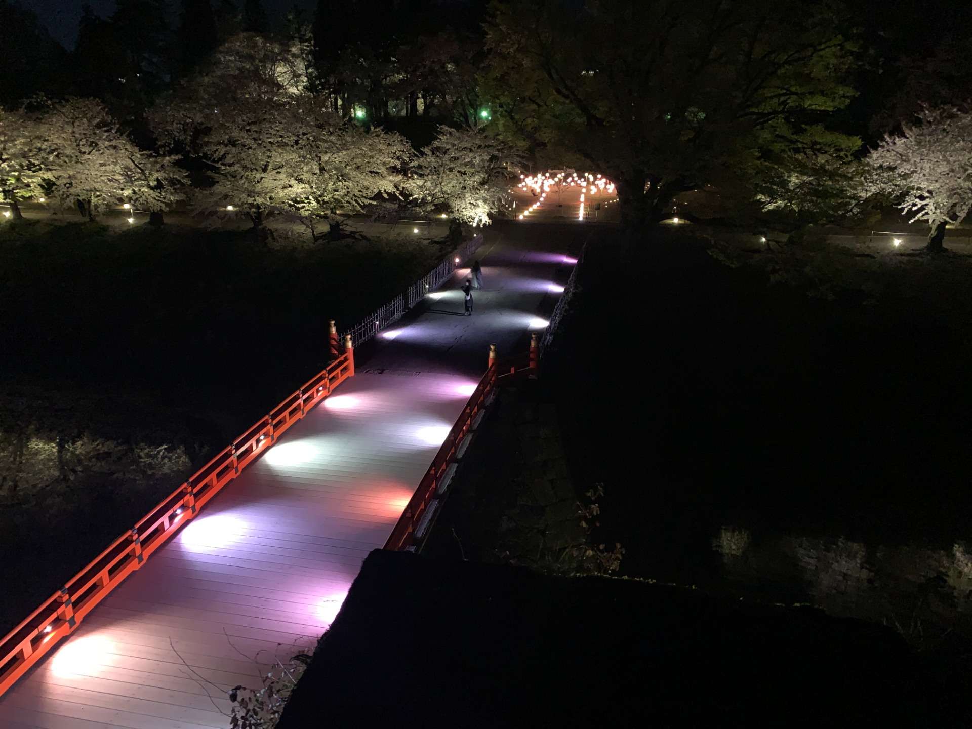 若松城（鶴ヶ城）廊下橋（ろうかばし）・公園 桜のライトアップ 2022