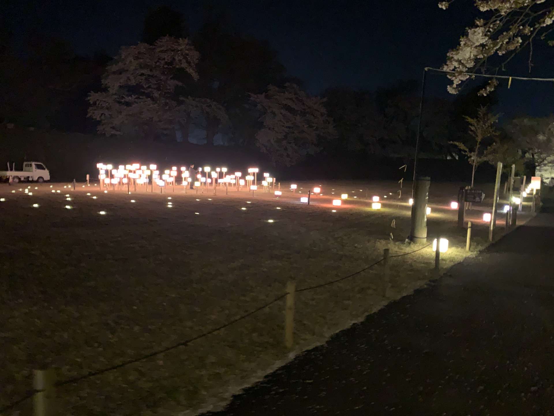 若松城（鶴ヶ城）二の丸・公園 桜のライトアップ 2022