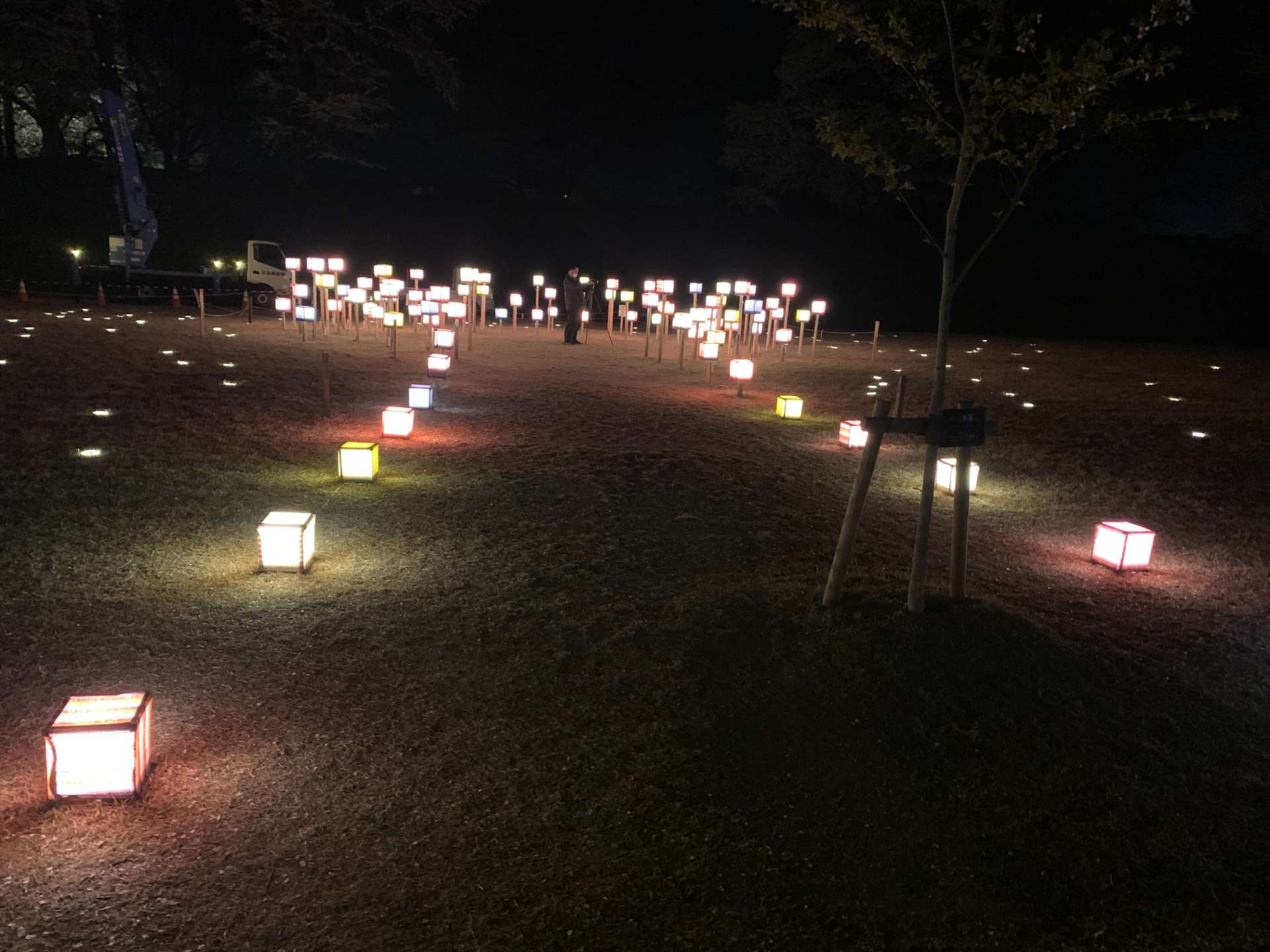 若松城（鶴ヶ城）二の丸・公園 桜のライトアップ 2022