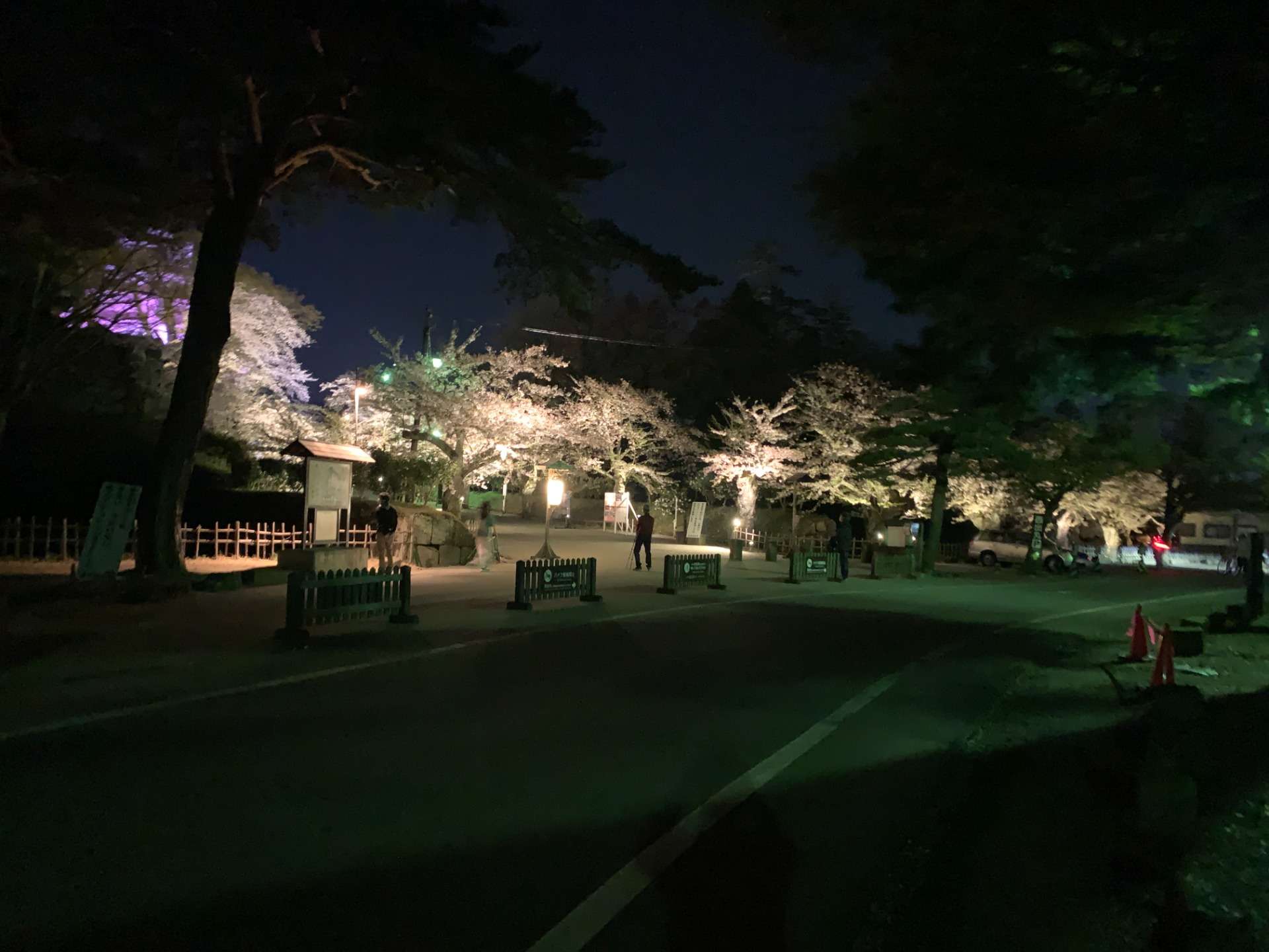 若松城（鶴ヶ城）北出丸 桜のライトアップ 2022