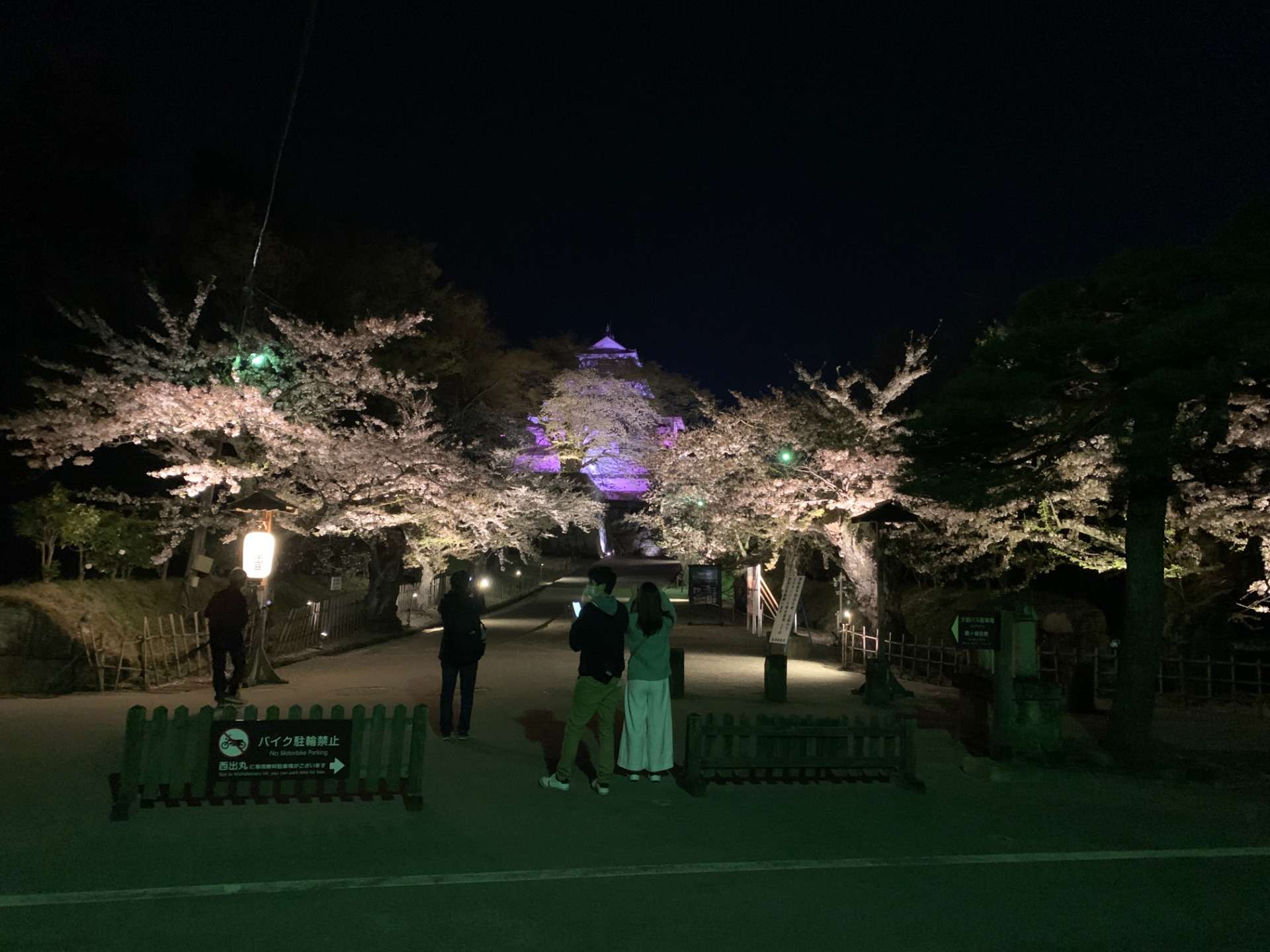 鶴ヶ城　桜のライトアップ　（北出丸エリア：福島県会津若松市）